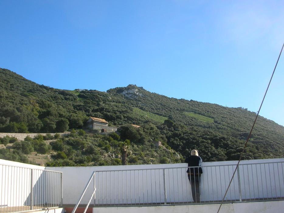 dscn3901.jpg dscn3901.jpg