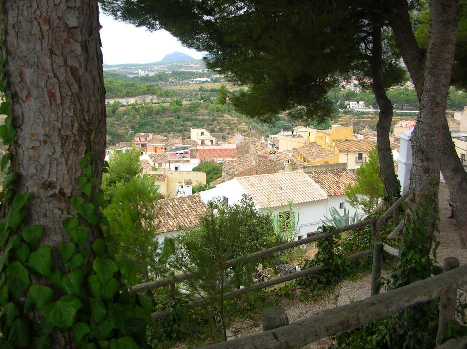 dscn3500.jpg dscn3500.jpg
