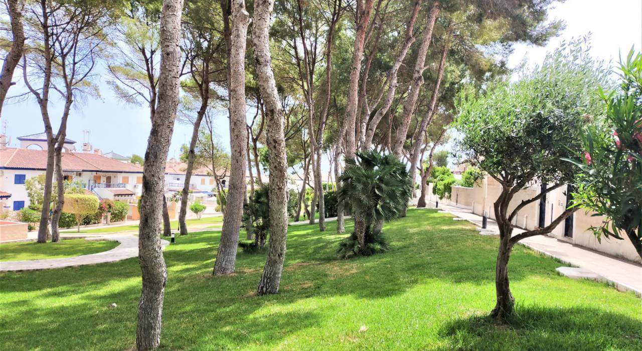 owner association garden behind the home