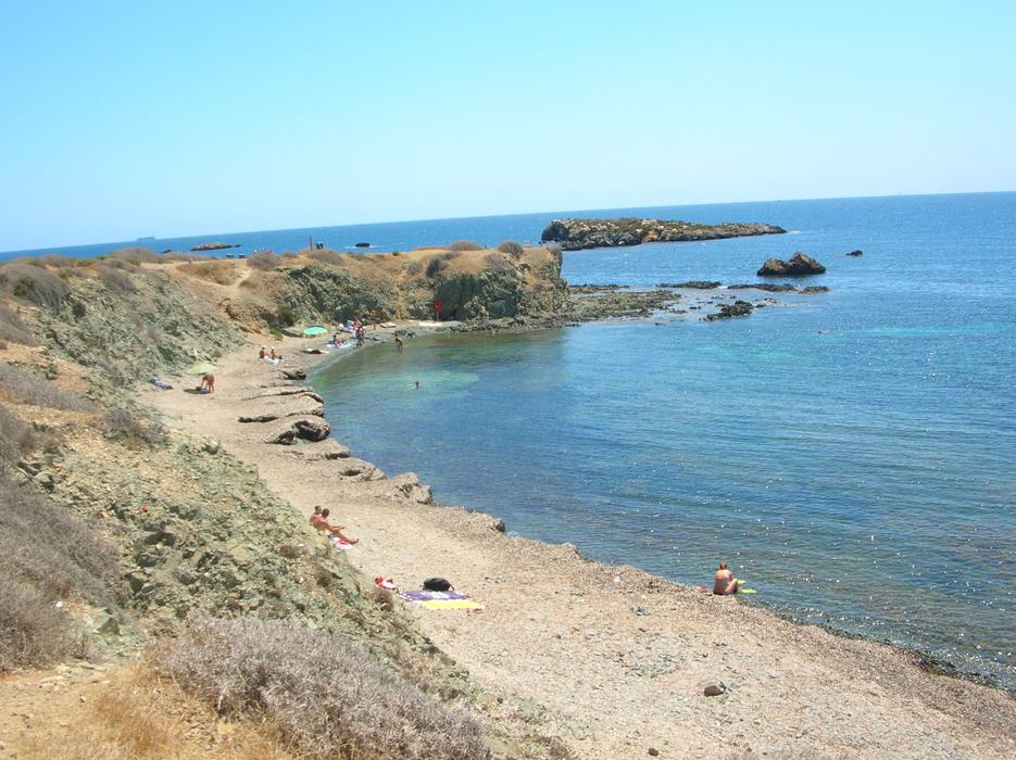 19.jpg